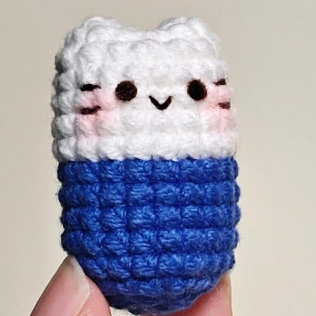 Handmade Crochet Cat Pill Box | Cute Kitty Mini Storage Container | Portable Pill/Jewelry Case (Blue/Orange)